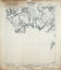 Mays School 1921, USGS