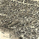 Newton, Massachusetts, Wards 1 and 7 by O.H. Bailey & Co., 1897