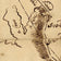 Survey of Annapolis, 1690