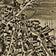 Exeter, New Hampshire, by H. Wellge, 1884