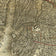 Map of New York City, Brooklyn, and vicinity showing surface & elevated railroads... 1885