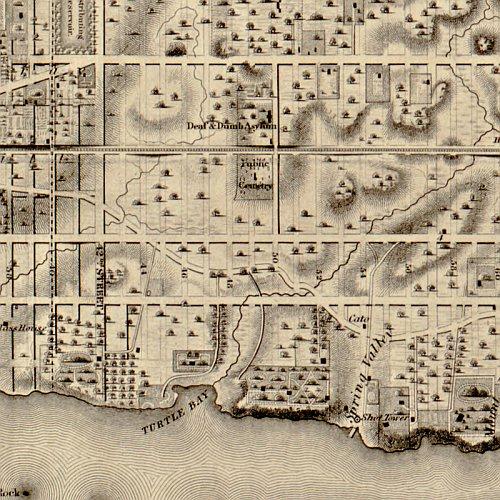 Topographical map of the city and county of New-York, and the adjacent country, 1836