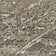 Reading, Pennsylvania by Bailey & Moyer, 1898