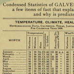 Galveston County and City 1891