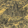 Austin 1887 by Augustus Koch