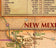 Antique Style Texas Wall Map