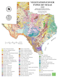 Vegetation/Cover Types of Texas Poster